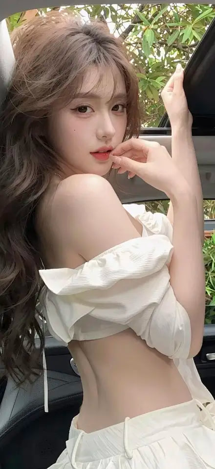《明月寄北》